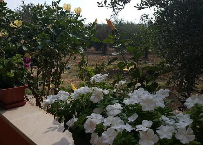 Country house Antico Ulivo *