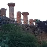 Antico Ulivo *