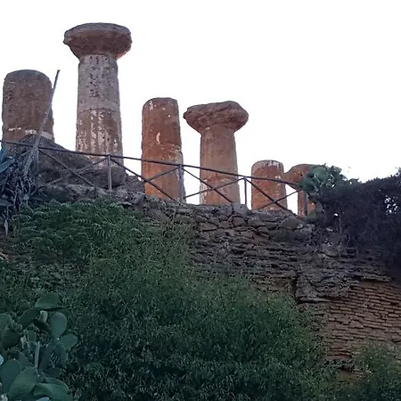 Antico Ulivo *