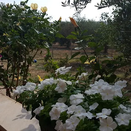 Séjour à la campagne Antico Ulivo *