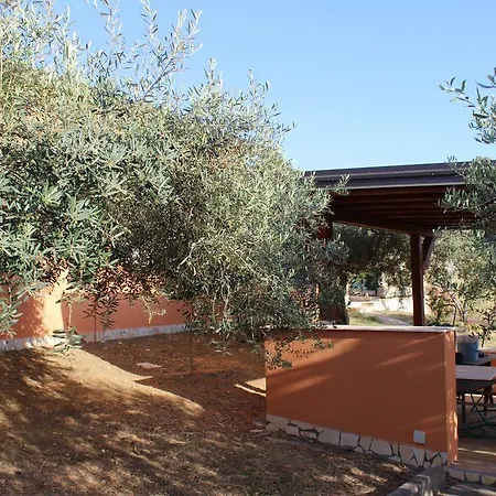 Antico Ulivo