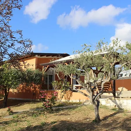 Antico Ulivo